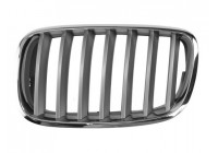 Radiator Grille