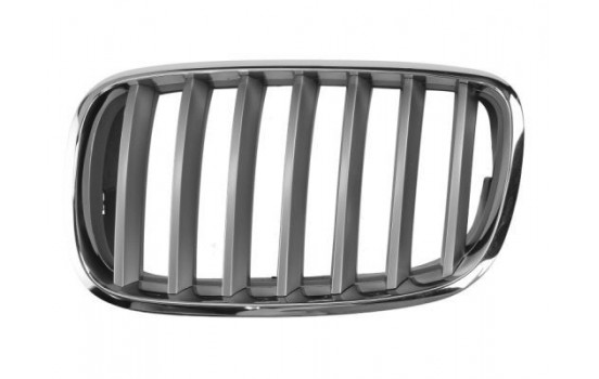 Radiator Grille
