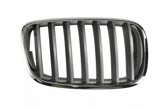 radiator grille