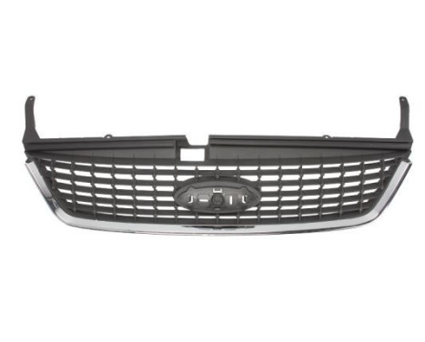 Radiator Grille
