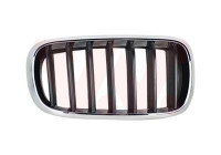 Radiator Grille