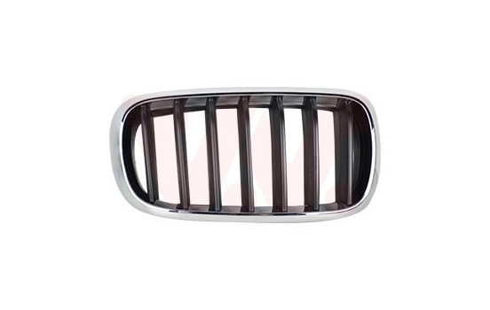 Radiator Grille