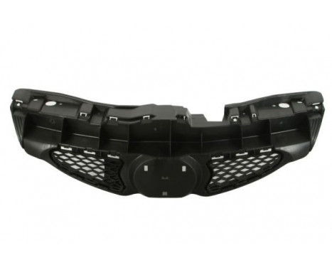 Radiator Grille, Image 3