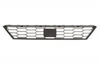 radiator grille