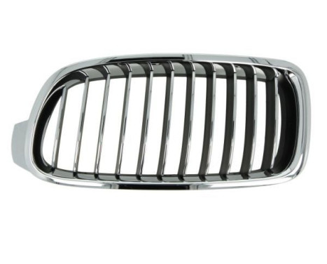 radiator grille