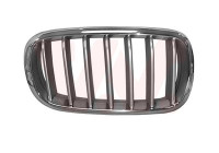 radiator grille