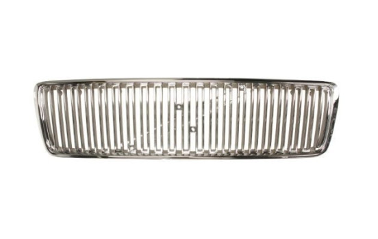 Radiator Grille