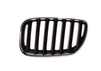 Radiator Grille