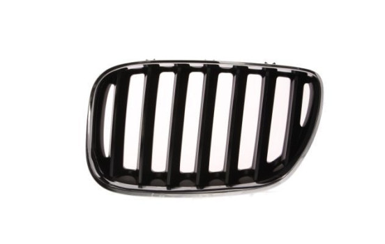 Radiator Grille