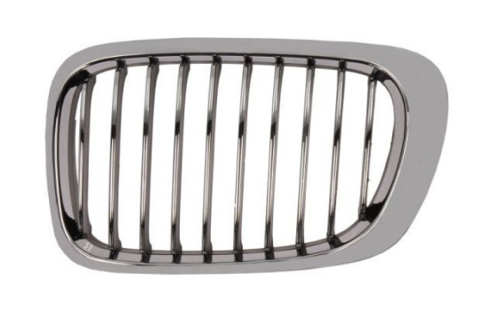 Radiator Grille