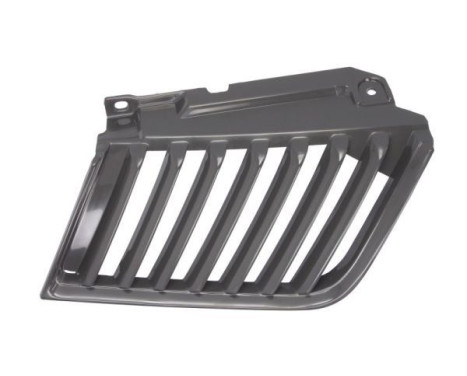 Radiator Grille