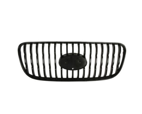 Radiator Grille