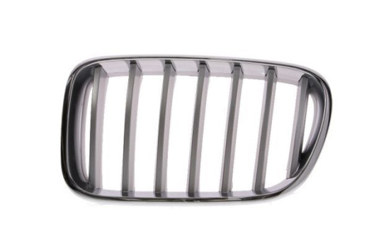 Radiator Grille