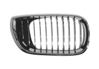 Radiator Grille