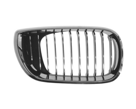 Radiator Grille