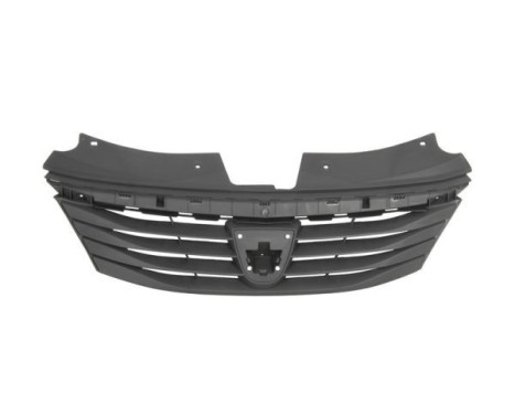 Radiator Grille
