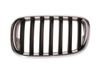 Radiator Grille