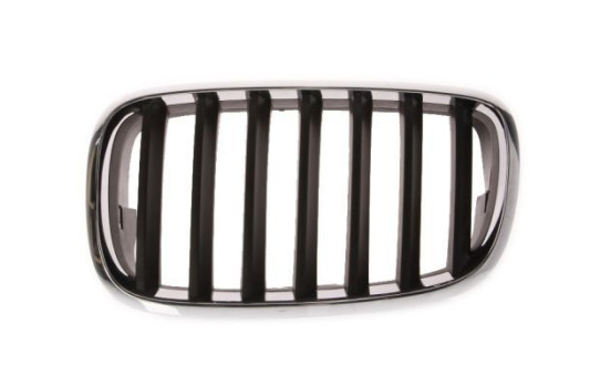 Radiator Grille