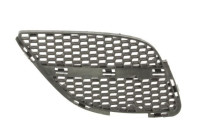 Radiator Grille