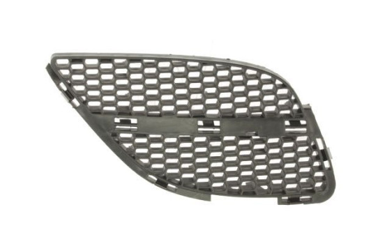 Radiator Grille