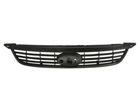 Radiator Grille, Image 3