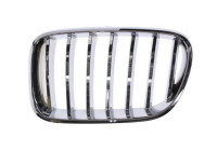 Radiator Grille