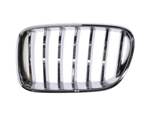 Radiator Grille