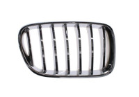 Radiator Grille