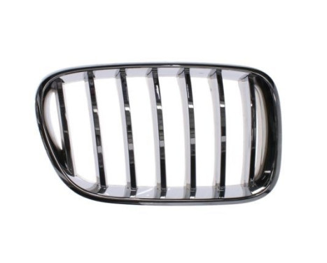 Radiator Grille