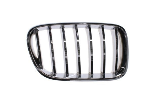 Radiator Grille