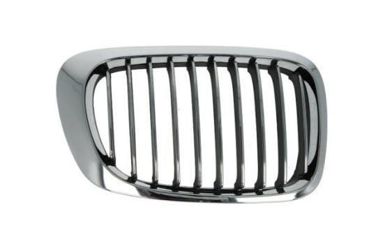Radiator Grille