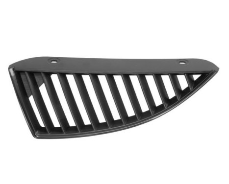 Radiator Grille