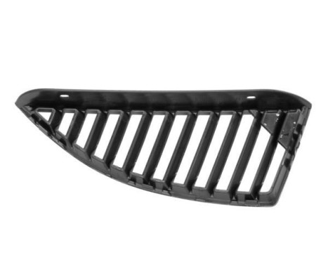Radiator Grille, Image 2