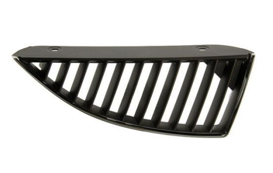 Radiator Grille