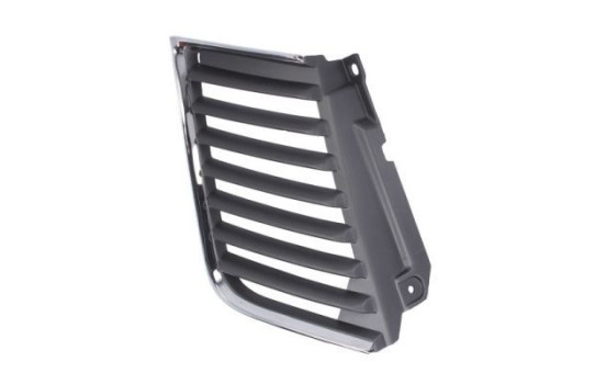 Radiator Grille