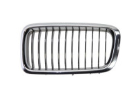 Radiator Grille