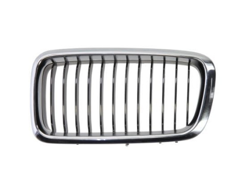 Radiator Grille
