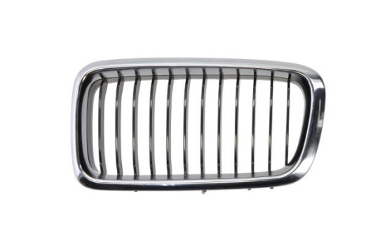 Radiator Grille