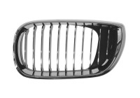 Radiator Grille