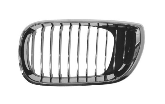 Radiator Grille