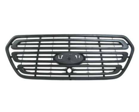 Radiator Grille