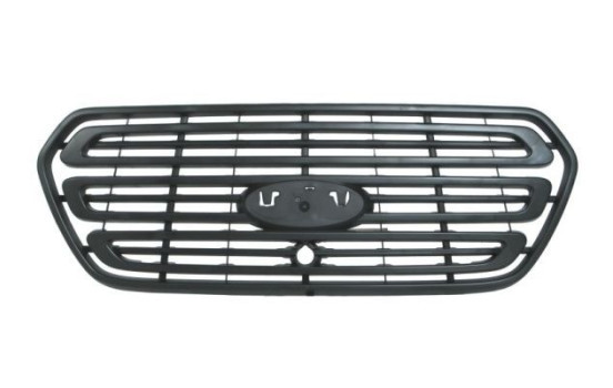 Radiator Grille