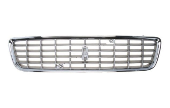Radiator Grille, Image 2