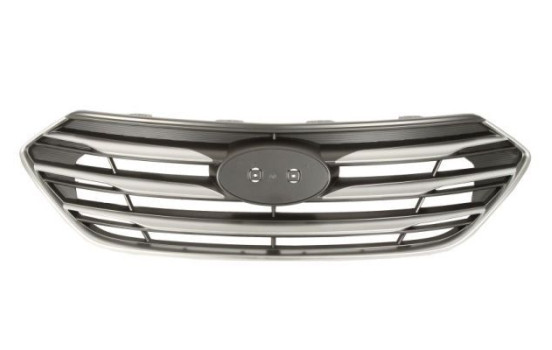 Radiator grille
