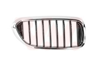 Radiator grille