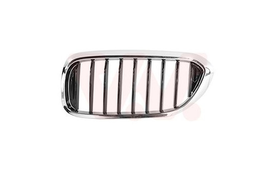 Radiator grille