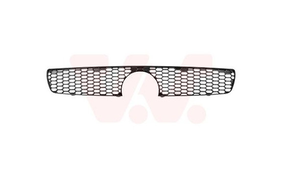 Radiator grille