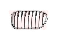 Radiator grille