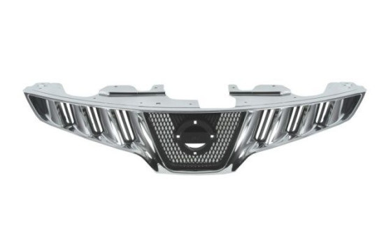 Radiator Grille