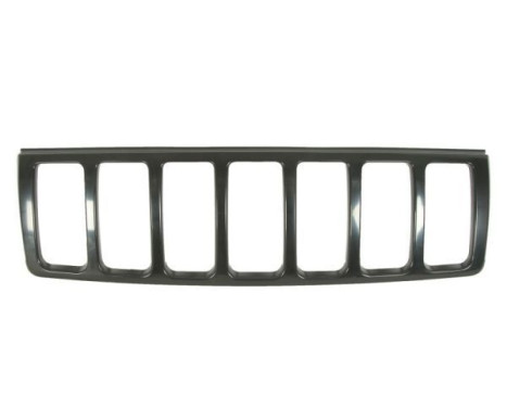 Radiator Grille